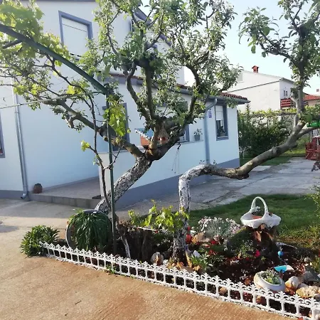 Gordana דירה פאז'אנה